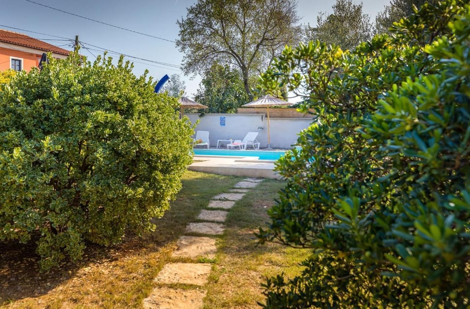 Patio, Garden, Garden view