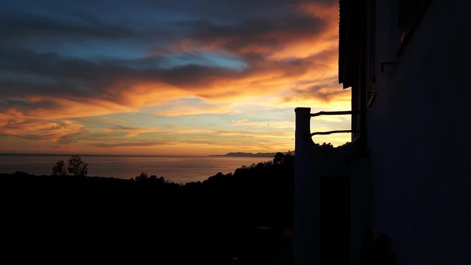 Garden, Sea view, Sunset