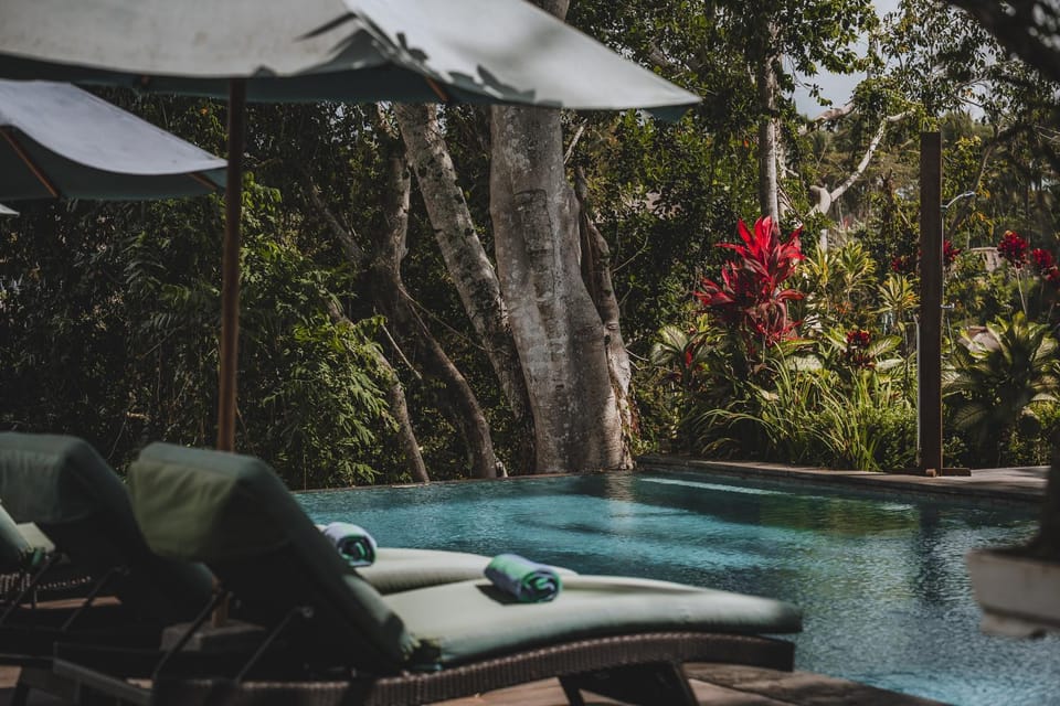 Day, Natural landscape, Garden, View (from property/room), Garden view, Pool view, Area and facilities, Swimming pool, furniture, sunbed, towels