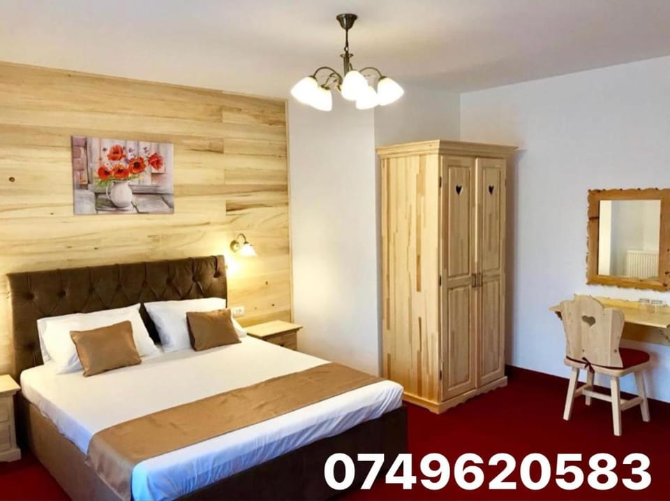 Vila Belcin Spa&Retreat Bed and Breakfast in Prahova, Romania