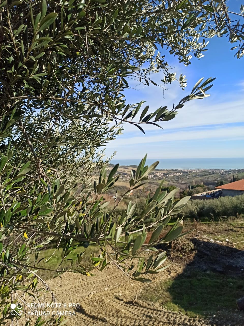Casolare Azzurro Country House in Marche