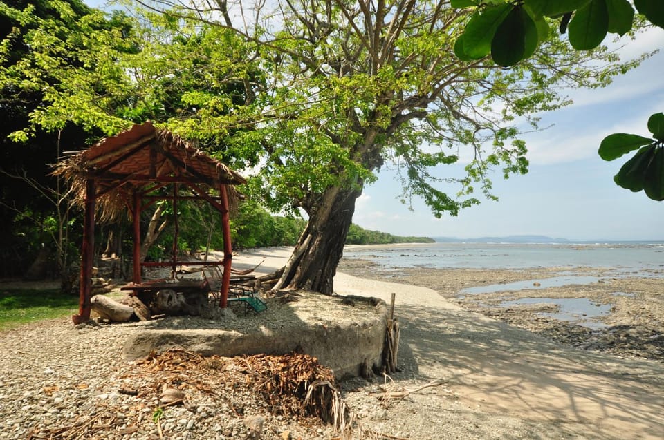 Howler Monkey Hotel Hotel in Cobano