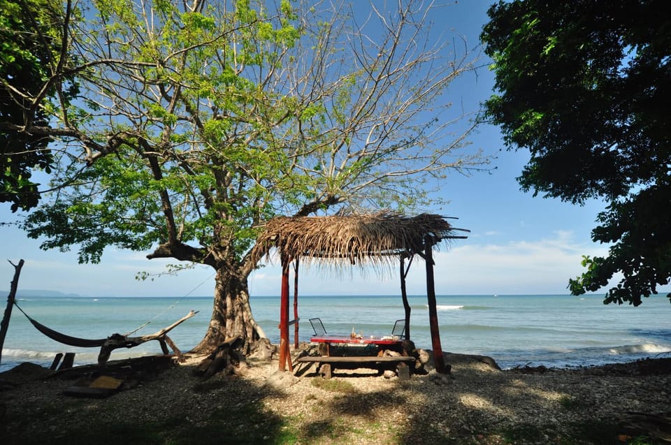 Howler Monkey Hotel Hotel in Cobano