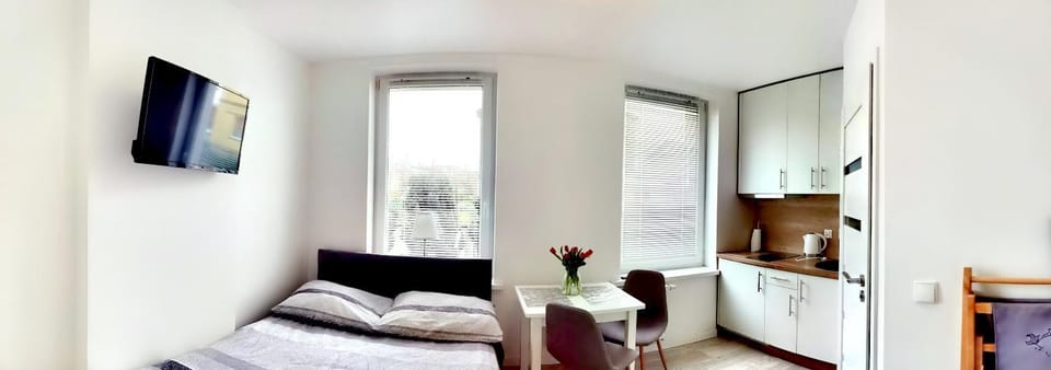 Bed, Kitchen or kitchenette, Photo of the whole room, Dining area, Bedroom