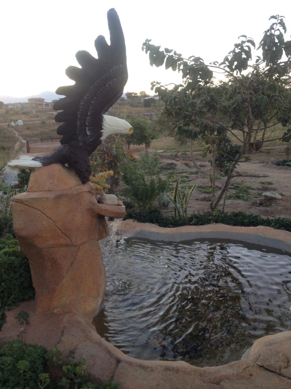 Rhurhy Guest House Bed and Breakfast in South Africa