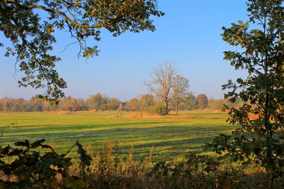 Natural landscape