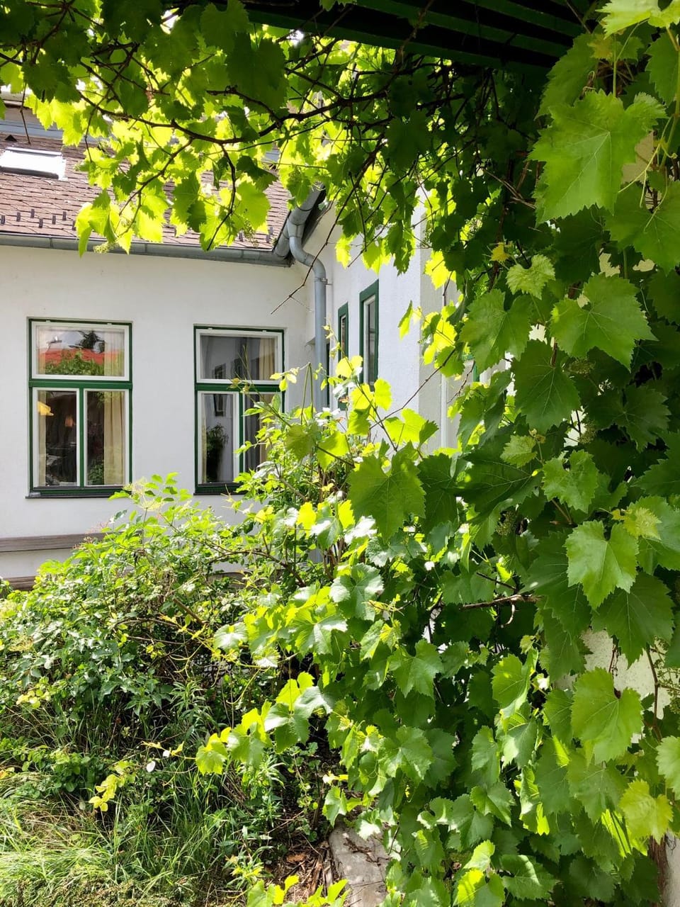 Property building, Garden