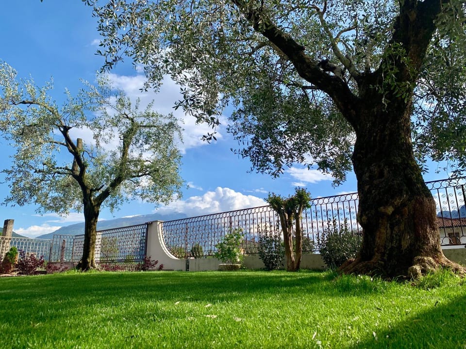 Garden, Garden, Garden view