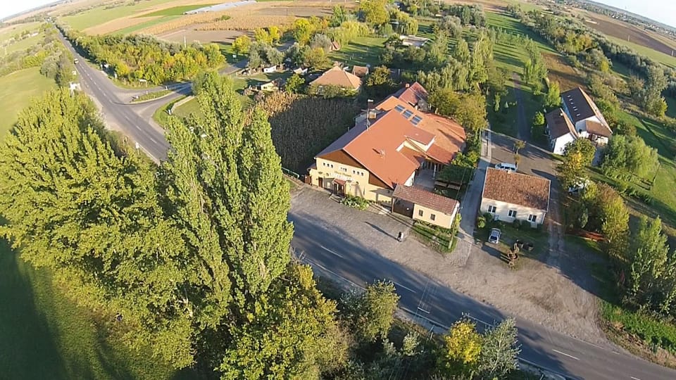 Property building, Day, Neighbourhood, Bird's eye view, Garden, Street view