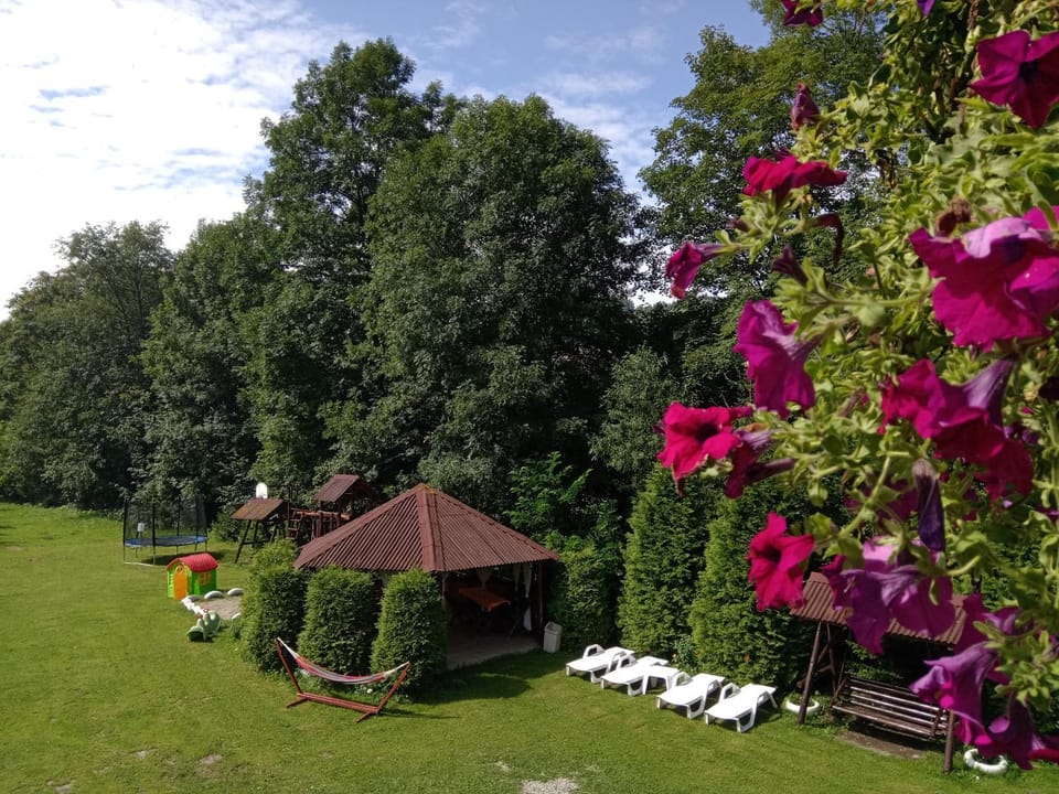 Vila Doina Branului Villa in Bran