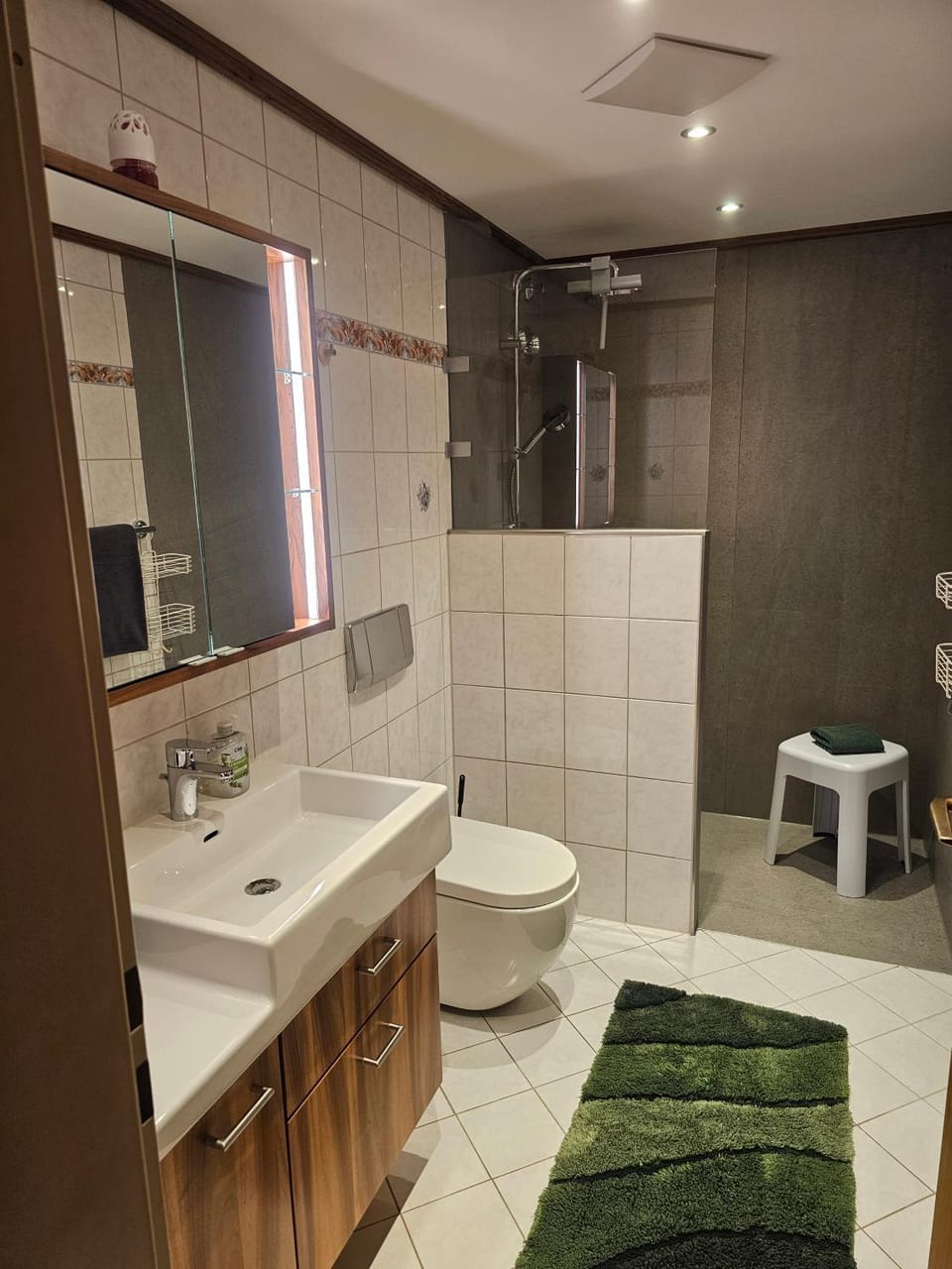Bathroom, Living room