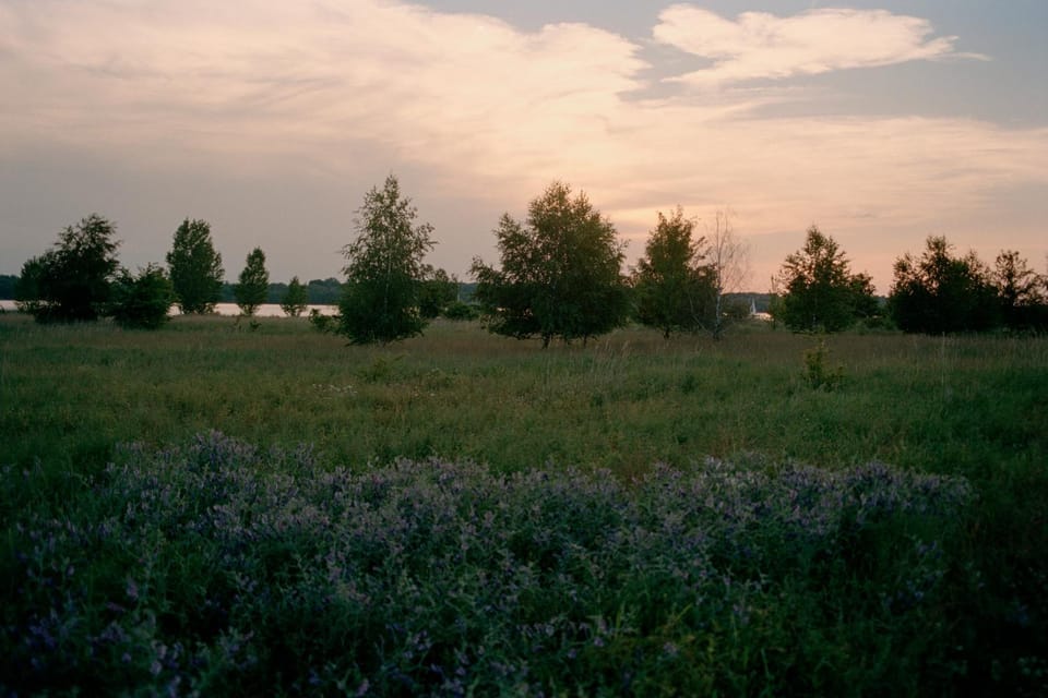 Natural landscape