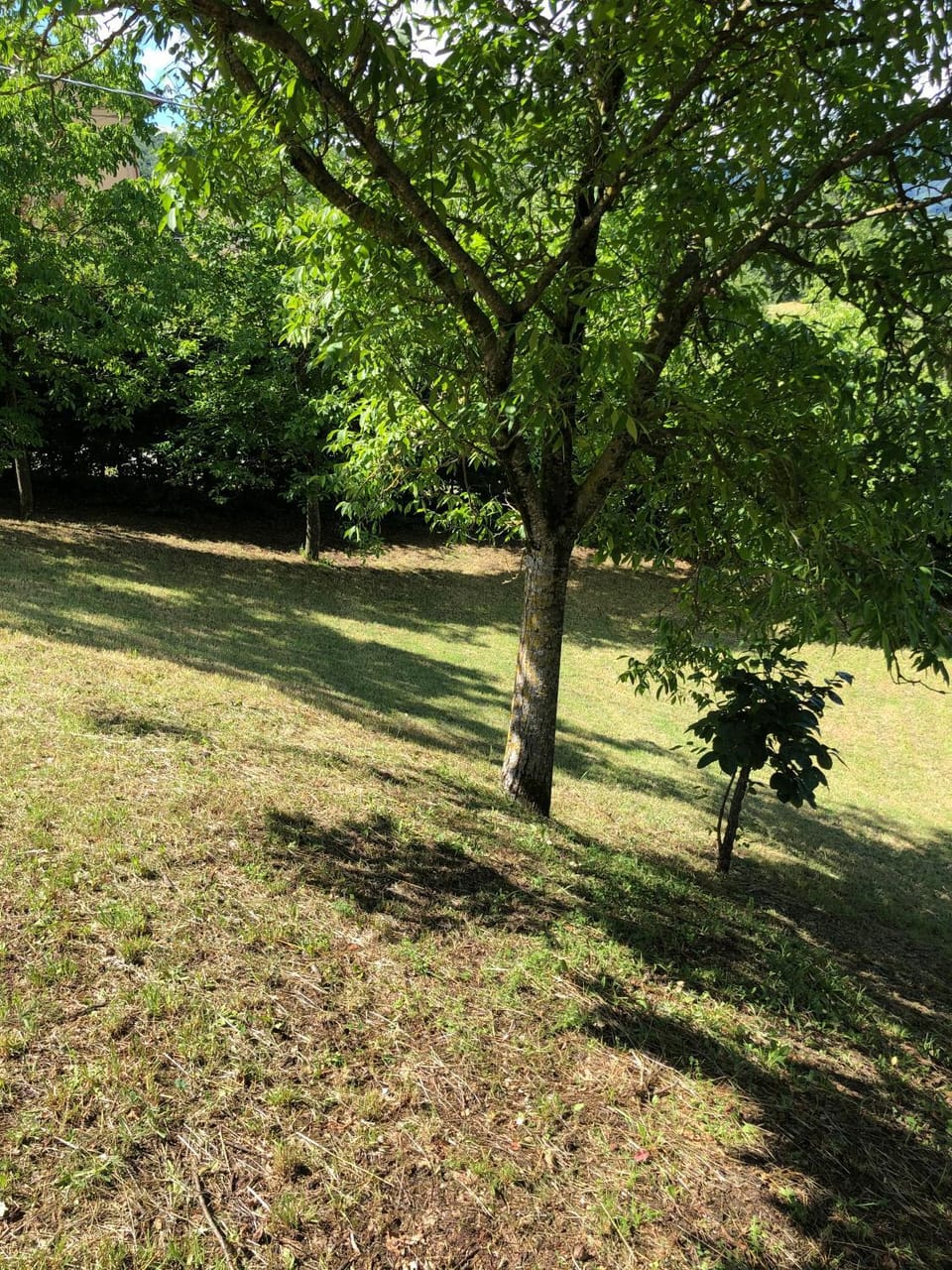 Capannina Vesale House in Emilia-Romagna