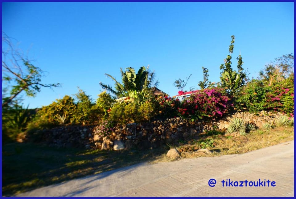 Facade/entrance, Garden