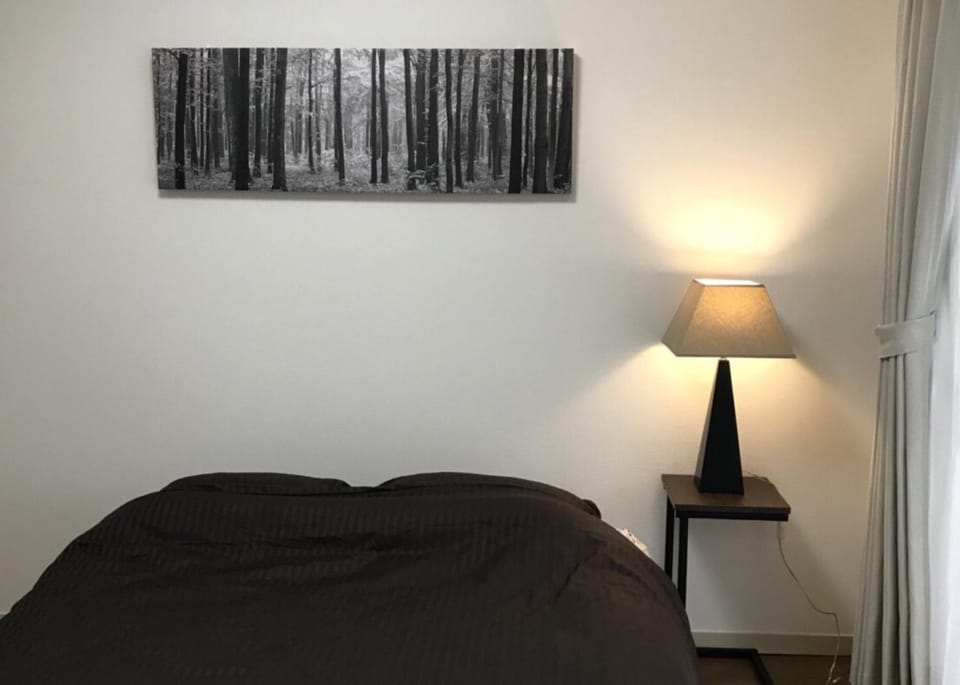 PEARL KAMINOBORI F Plus Apartment in Hiroshima