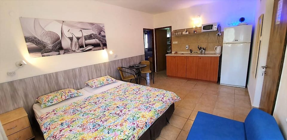 Day, Kitchen or kitchenette, Living room, Photo of the whole room, Dining area, On site