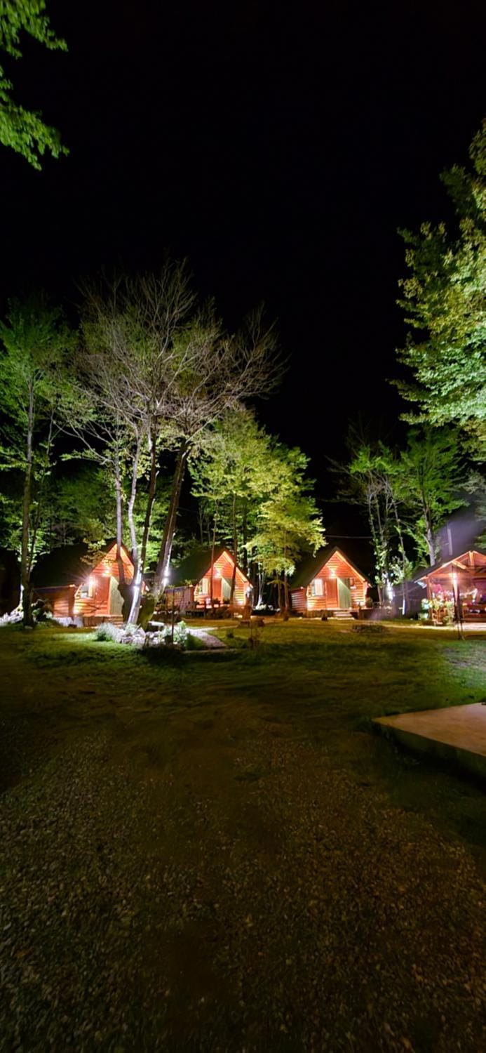 Night, Natural landscape, Garden, Garden view