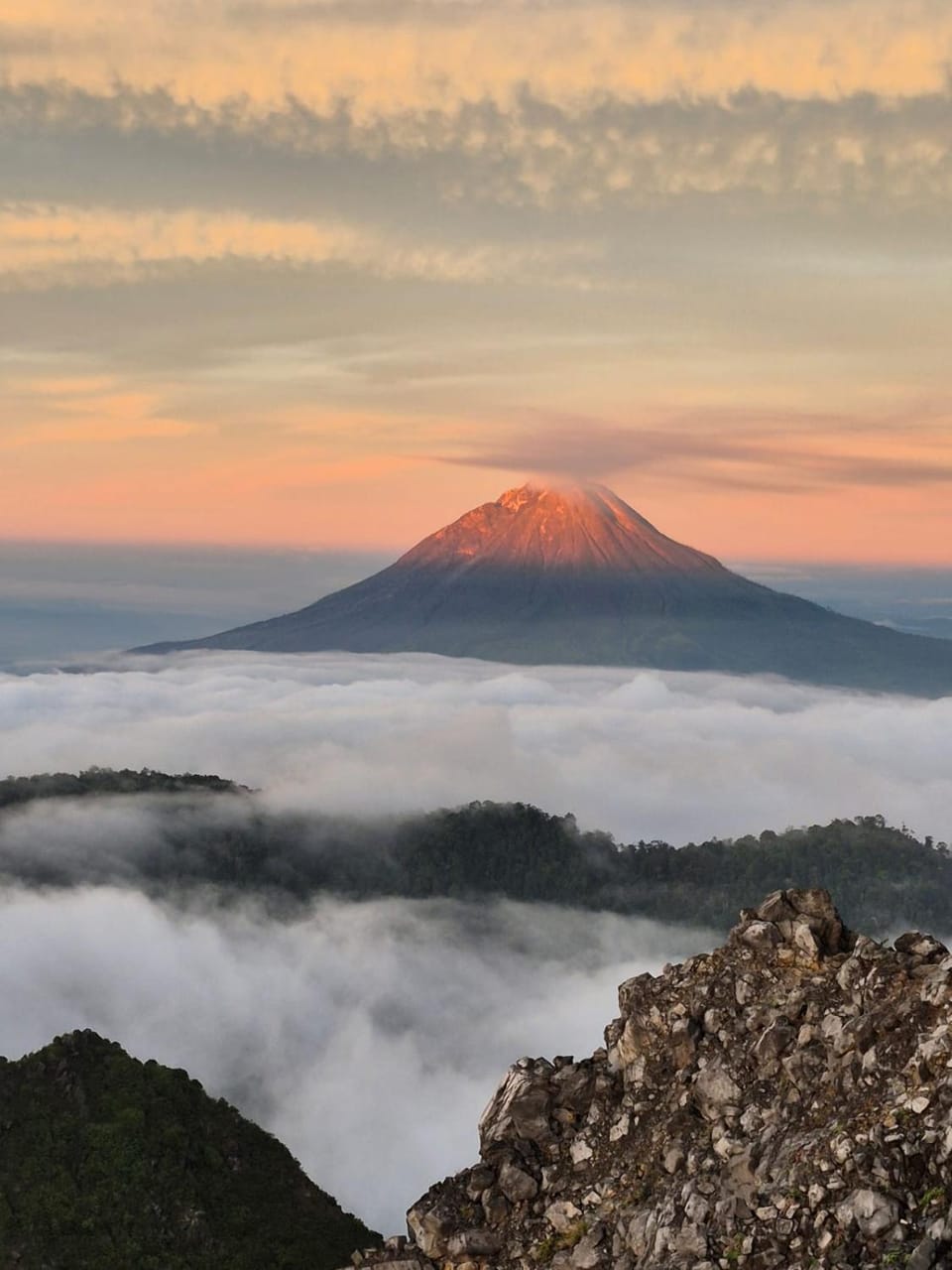Kaesa Homestay Vacation rental in Indonesia