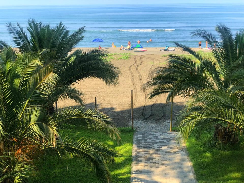 Garden, Beach