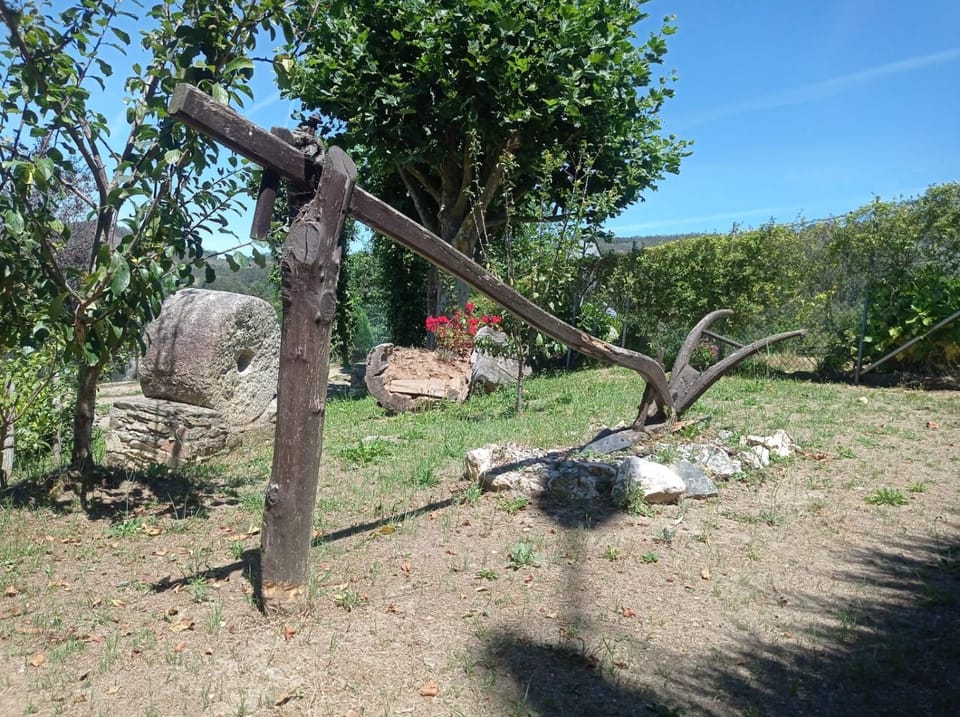 Natural landscape, Garden