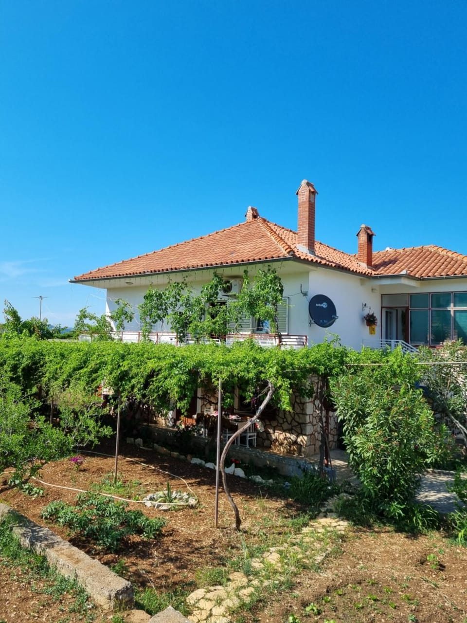 Property building, Garden, Garden view