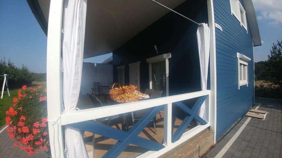 Niebieskie Domki Nature lodge in Pomeranian Voivodeship