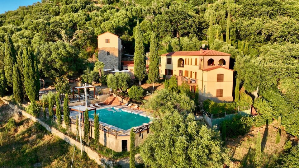 Natural landscape, Bird's eye view, Garden, Garden view, Mountain view, Pool view, Swimming pool, Inner courtyard view, sunbed
