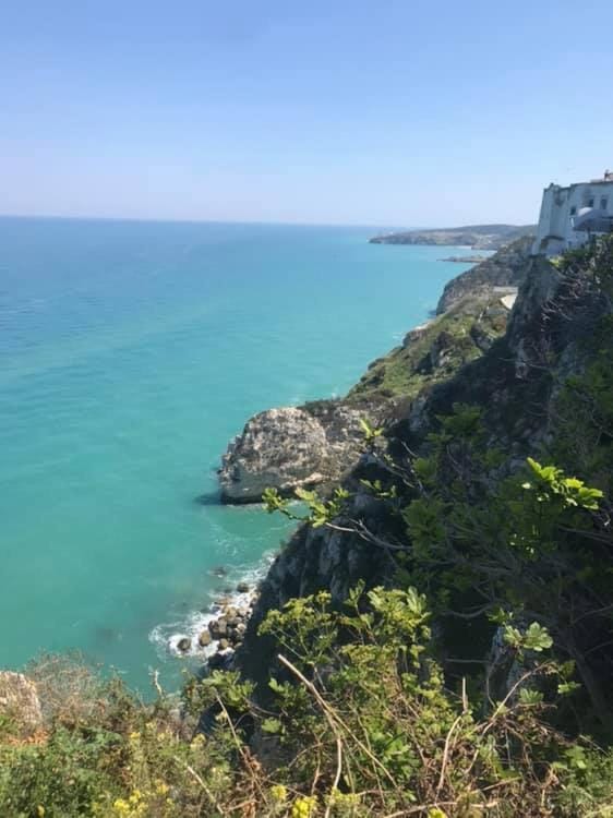 Monolocali Pozzo dei Desideri House in Province of Foggia