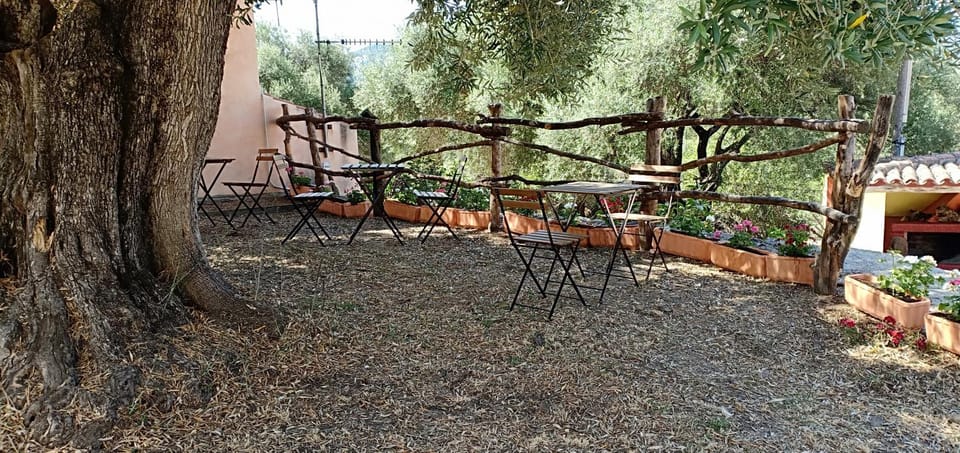 Inner courtyard view