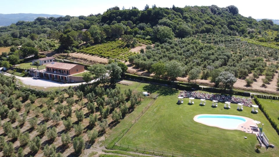 Day, Natural landscape, Bird's eye view, Garden, Swimming pool, sunbed