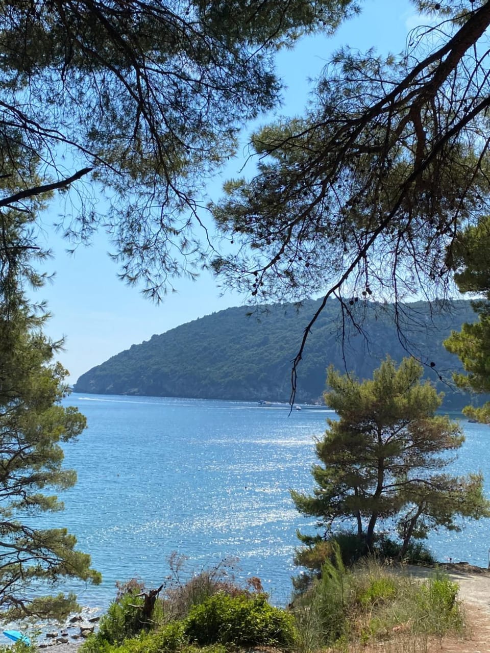 Guest house Gorica Bed and Breakfast in Montenegro