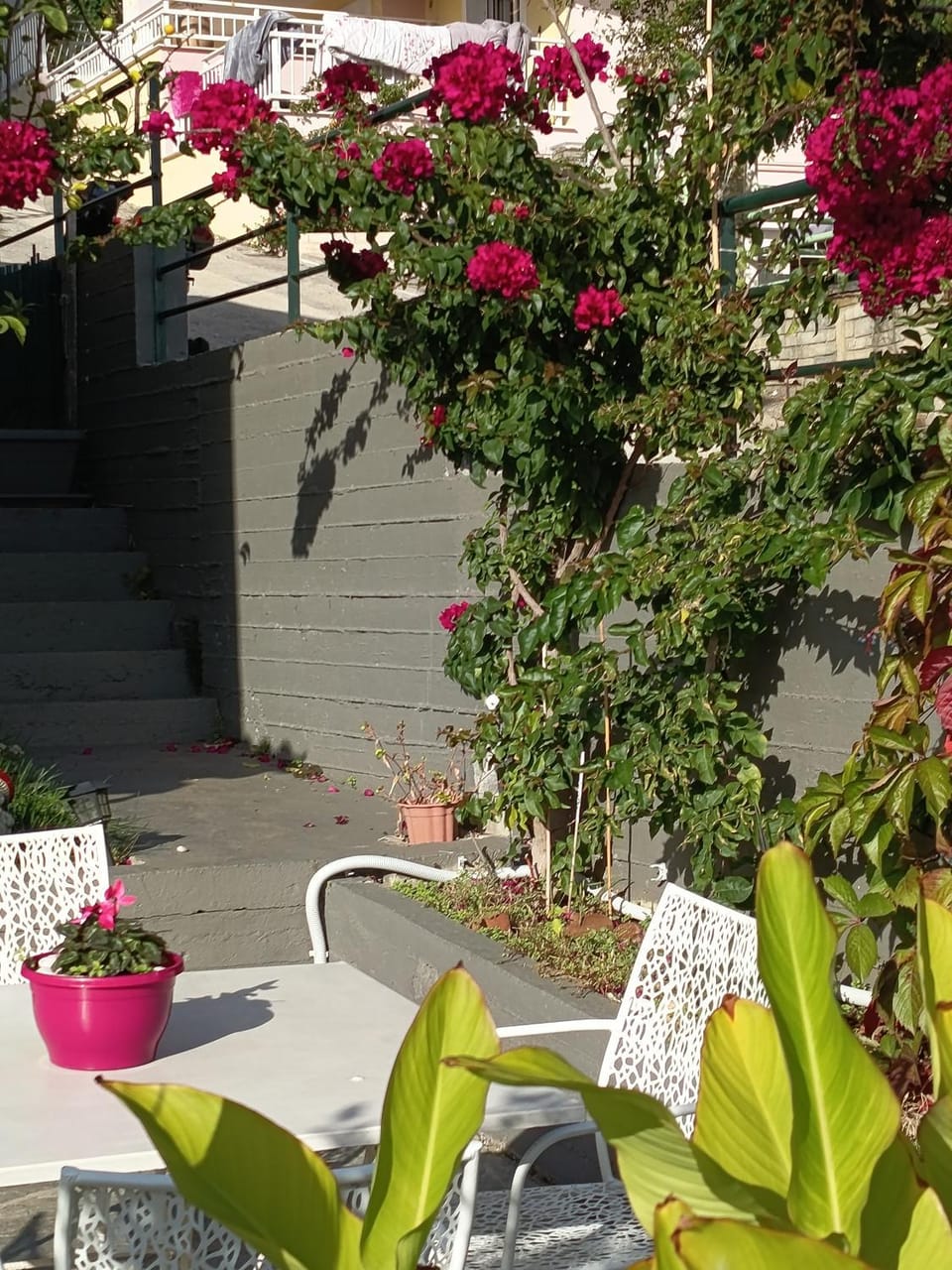 Balcony/Terrace, Inner courtyard view