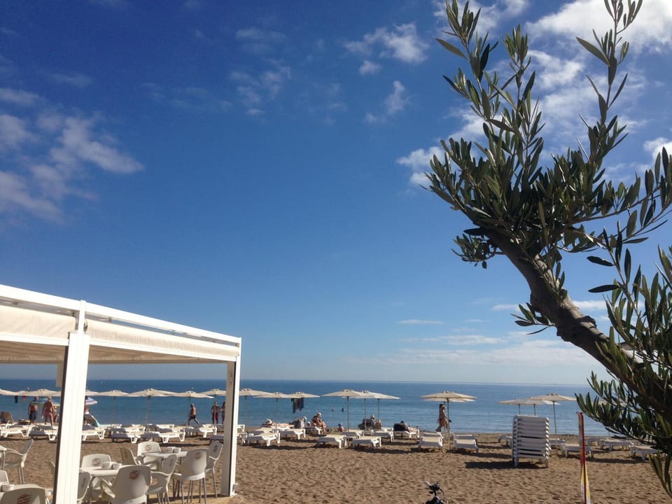 Beach, Animals, Family