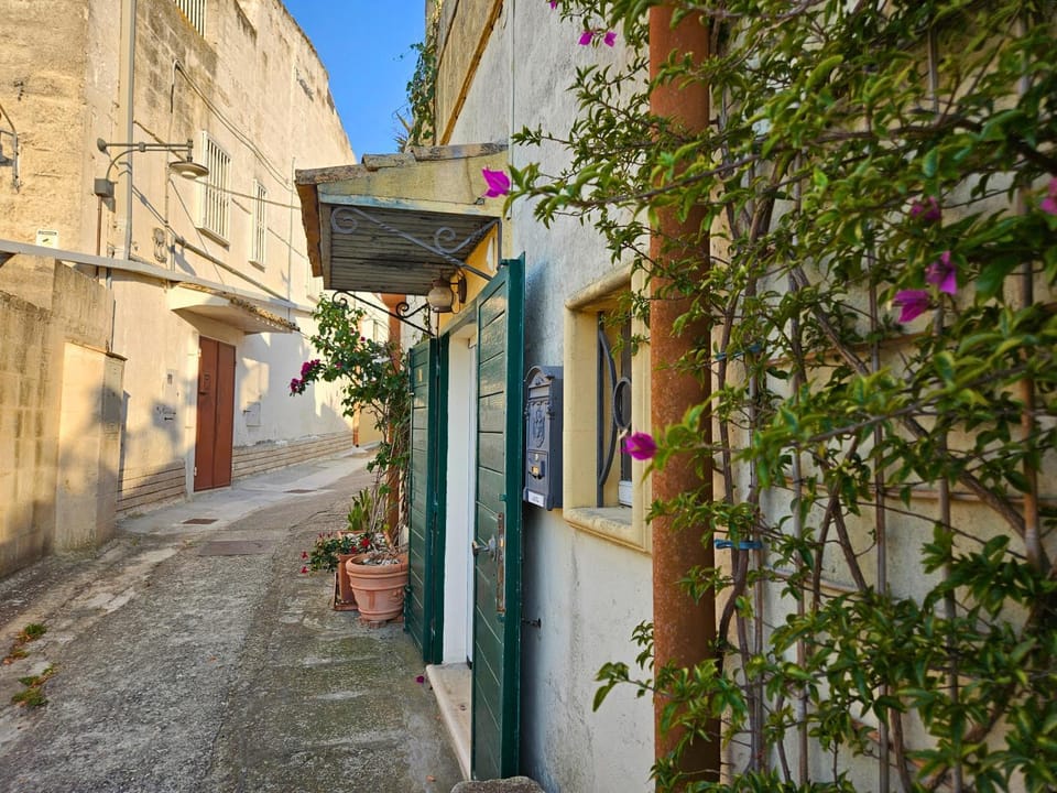 Spring, Day, Neighbourhood, Street view