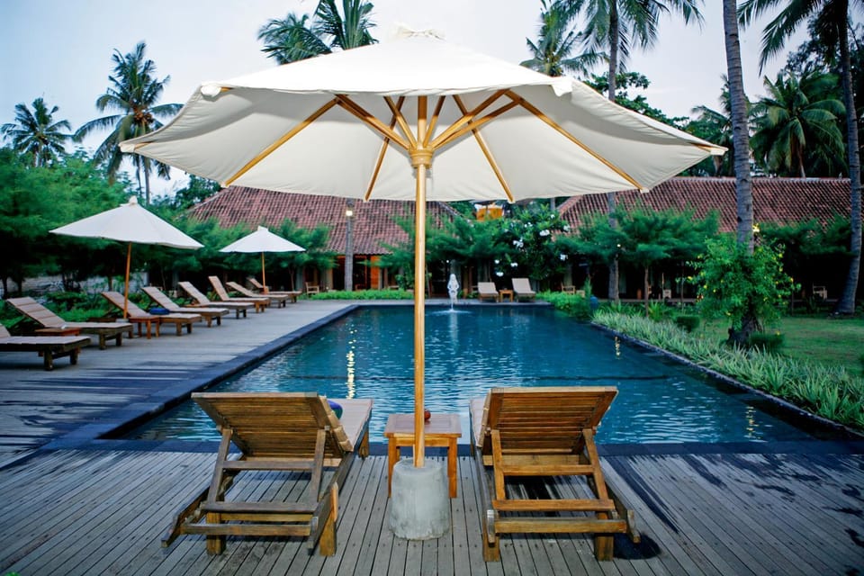 Day, Activities, On site, Pool view, Swimming pool