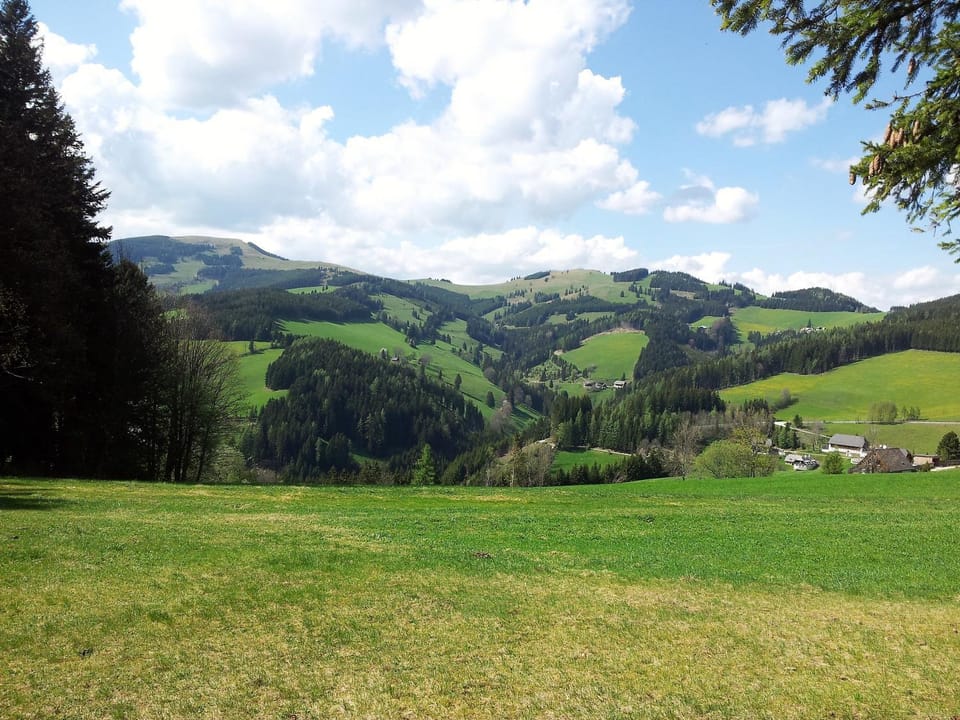 Schweighofers Almhaus Apartment in Styria