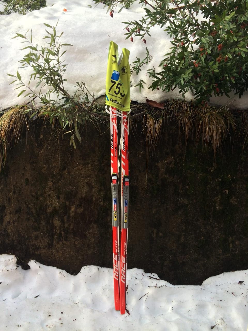 Winter, Ski School, Skiing
