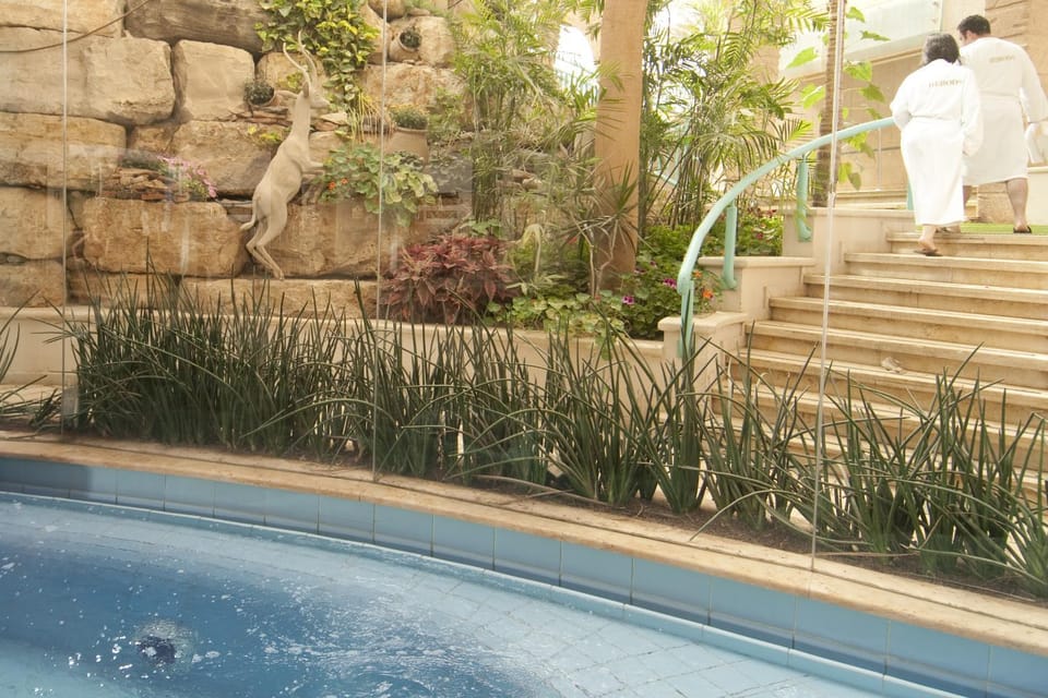 Spa and wellness centre/facilities