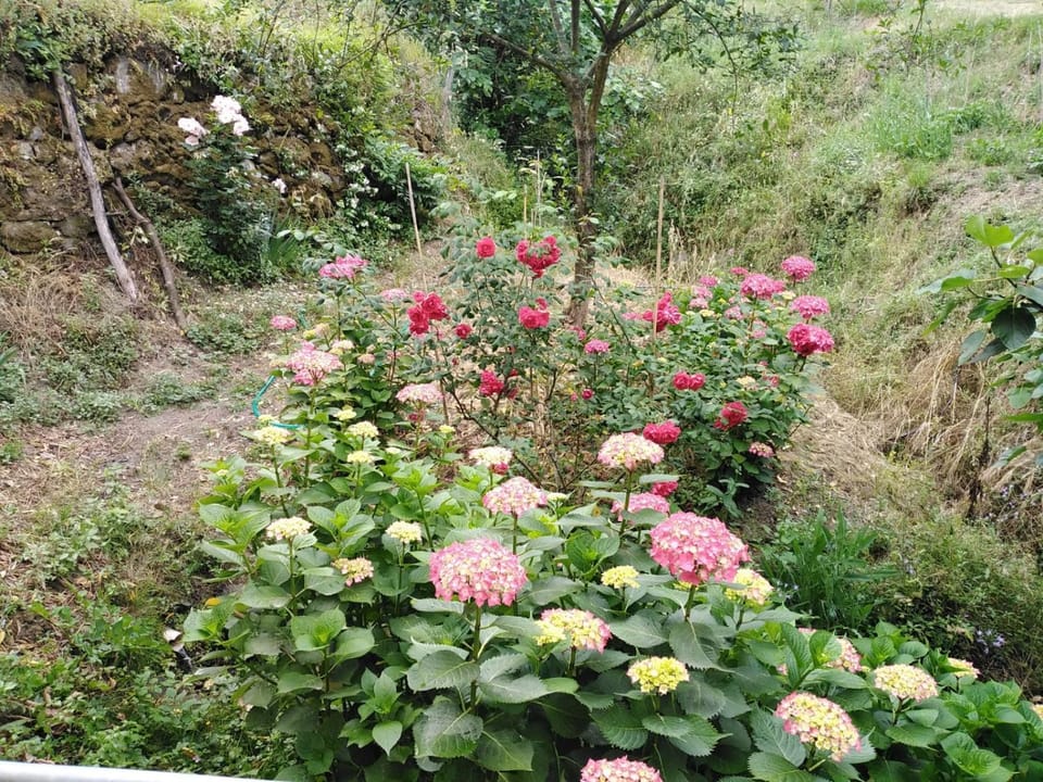 Il Ghiro Bed and Breakfast in Levanto