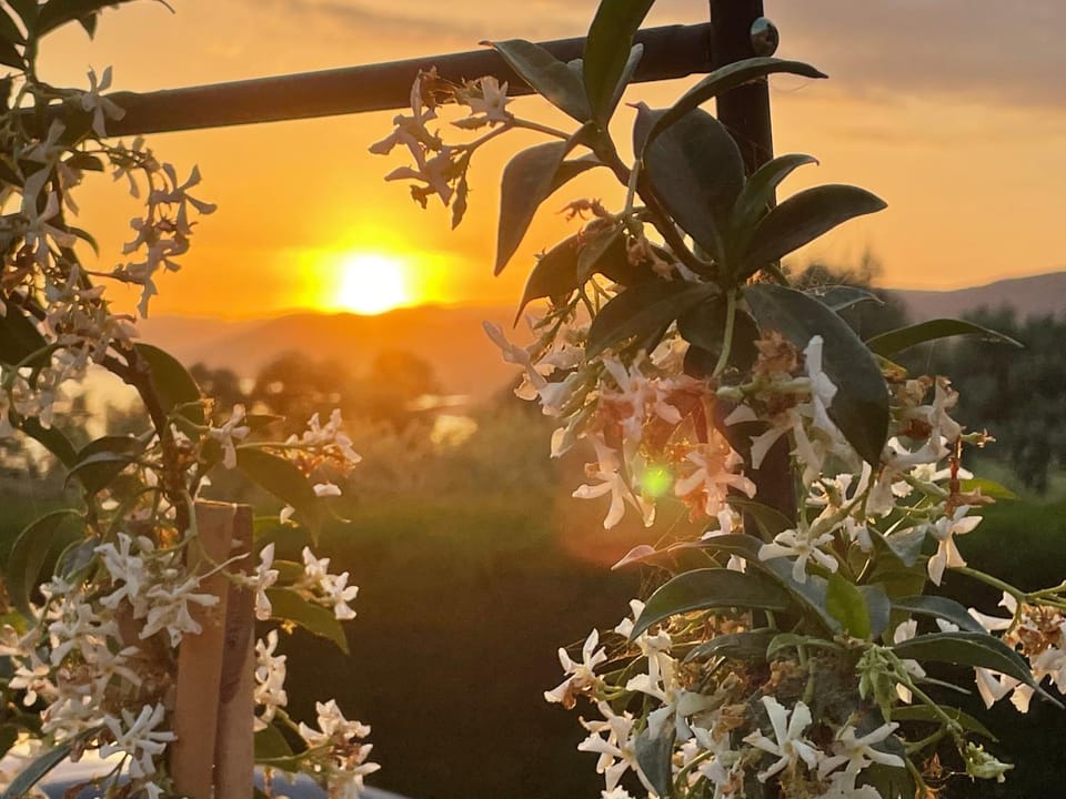Natural landscape, Sunset