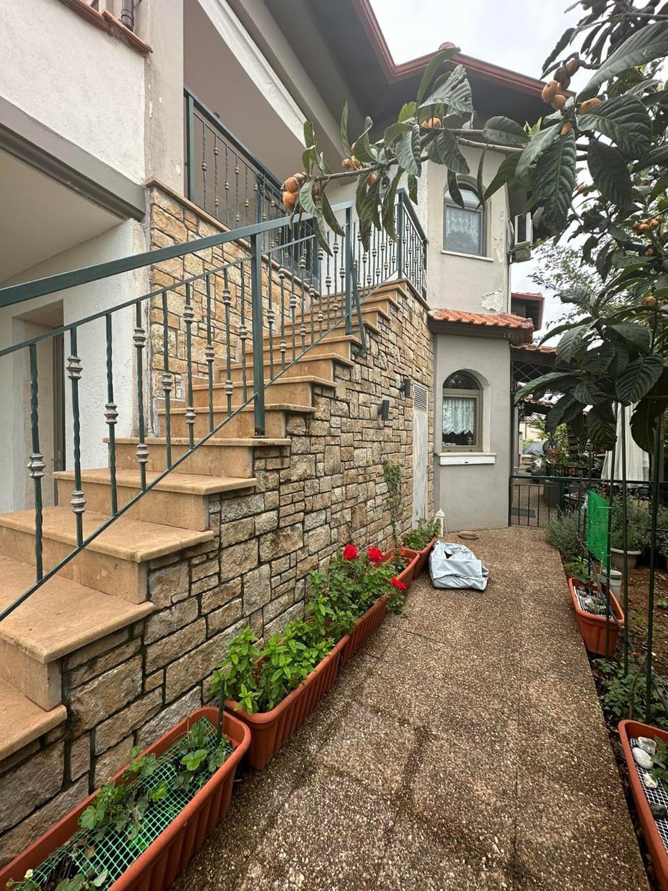 Property building, Garden