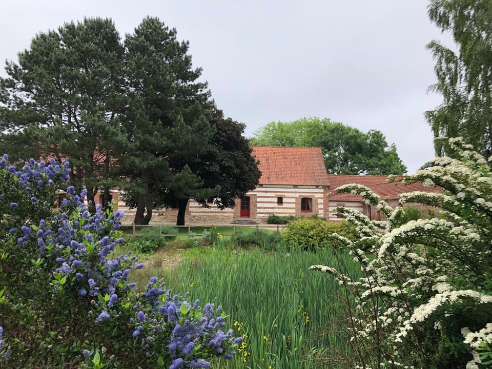 Inner courtyard view