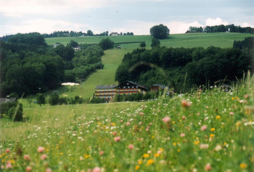 Natural landscape