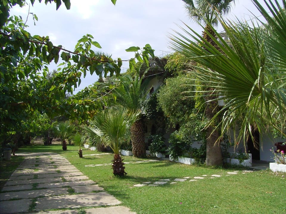 Day, Garden
