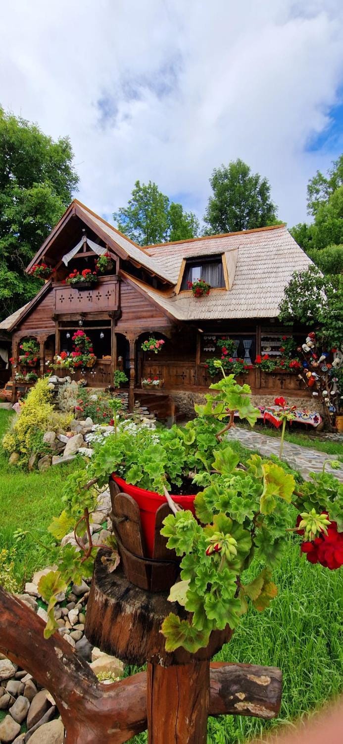 Pensiunea Rustic Oncesti Nature lodge in Romania
