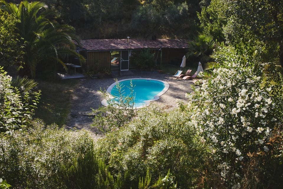 Garden, Swimming pool