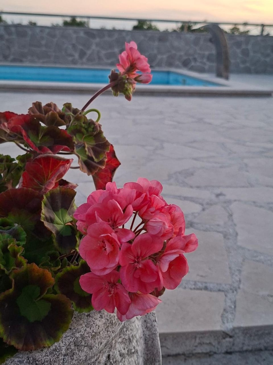 Vila Rogač Villa in Kotor Municipality