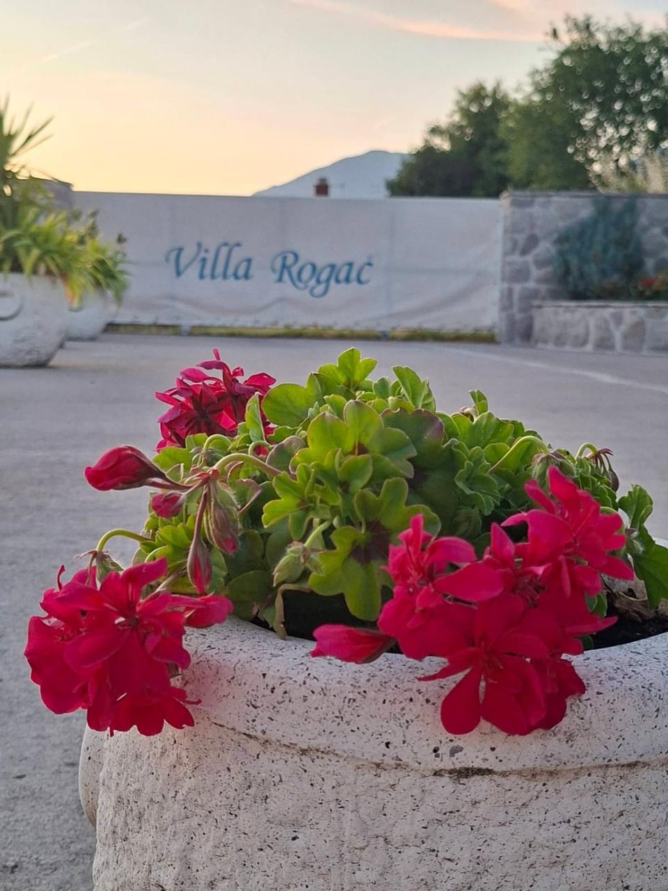 Vila Rogač Villa in Kotor Municipality