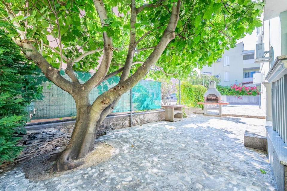 Spring, Day, Neighbourhood, Garden view, Street view, Parking