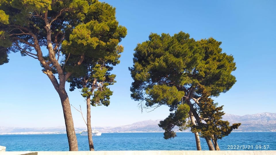 Natural landscape